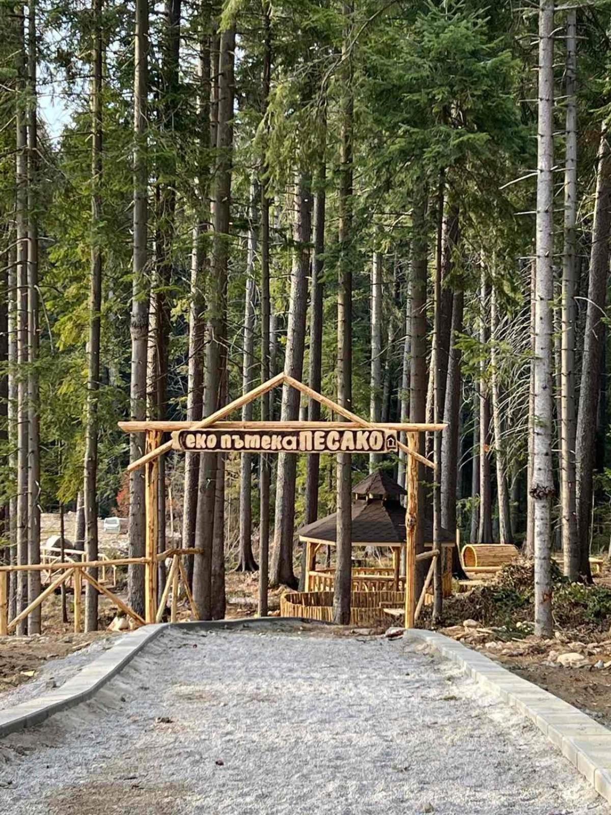 Апартаменты Arboro Borovets Gardens E43 Экстерьер фото